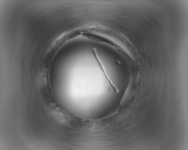 X0000082991016200702011423