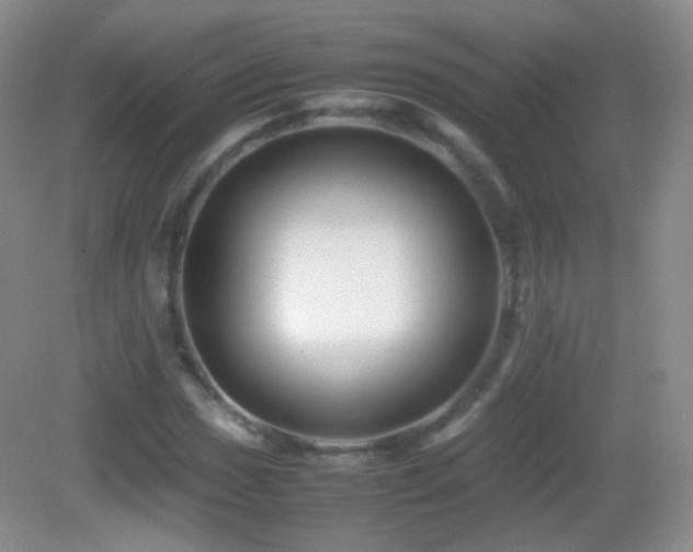 X0000082991017200702011423