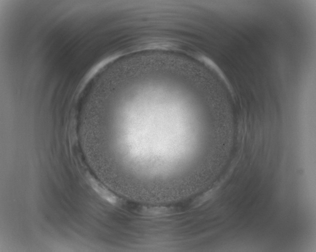 X0000082991019200702011423