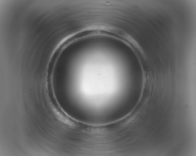 X0000082991020200702011423