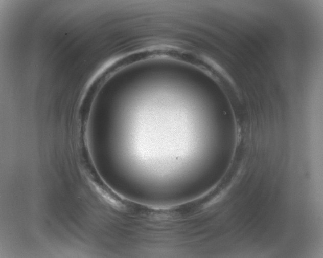 X0000082991021200702011423