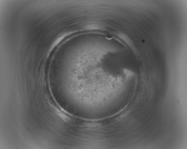 X0000082991023200702011423