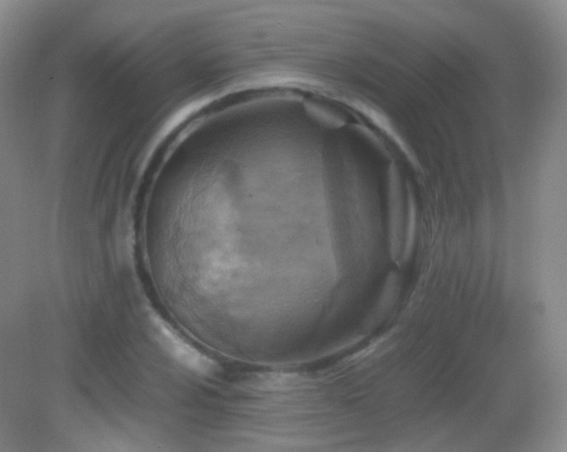 X0000082991024200702011423