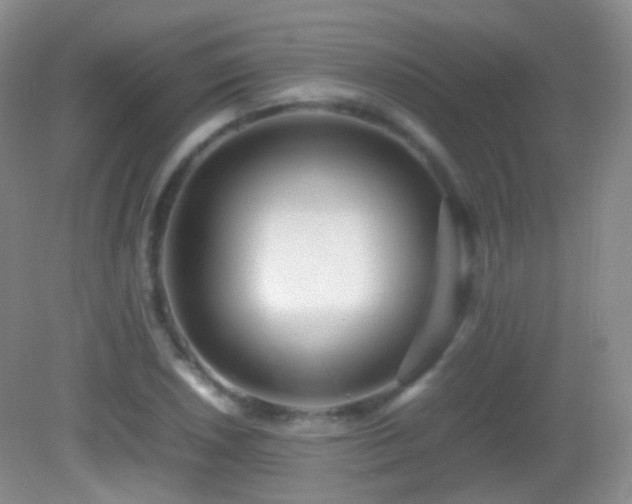 X0000082991026200702011423