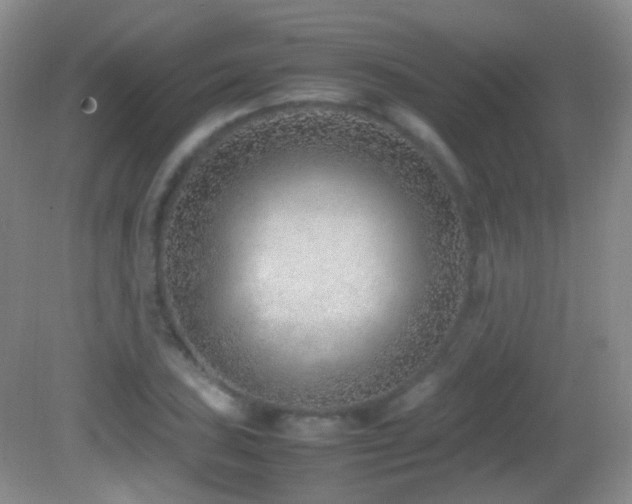 X0000082991027200702011423