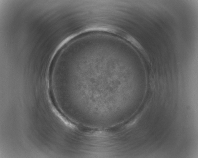 X0000082991028200702011423