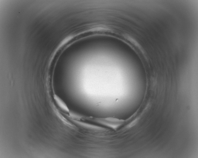 X0000082991029200702011423