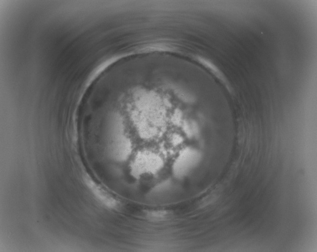 X0000082991031200702011423