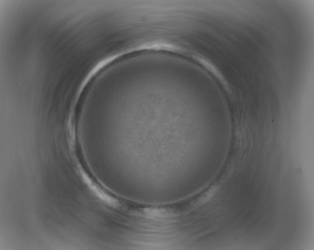 X0000082991032200702011424