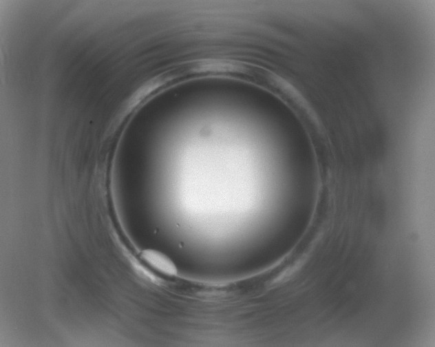 X0000082991033200702011424