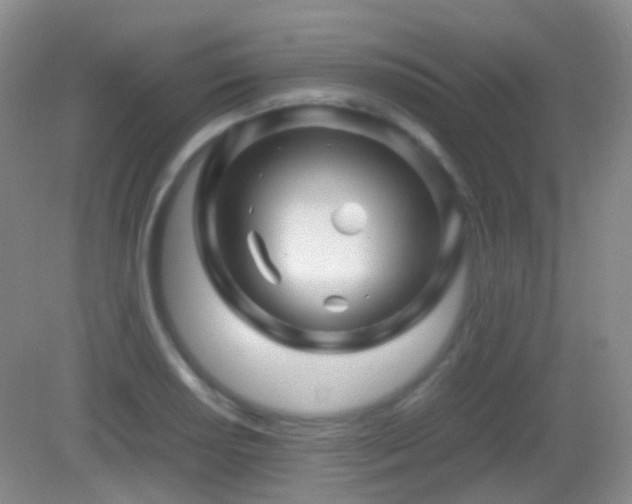 X0000082991034200702011424