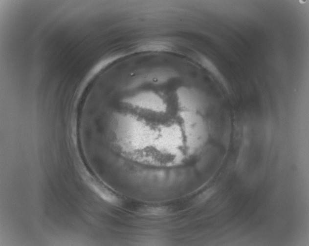 X0000082991035200702011424