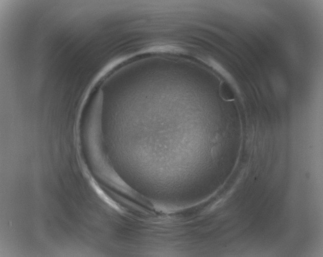 X0000082991037200702011424