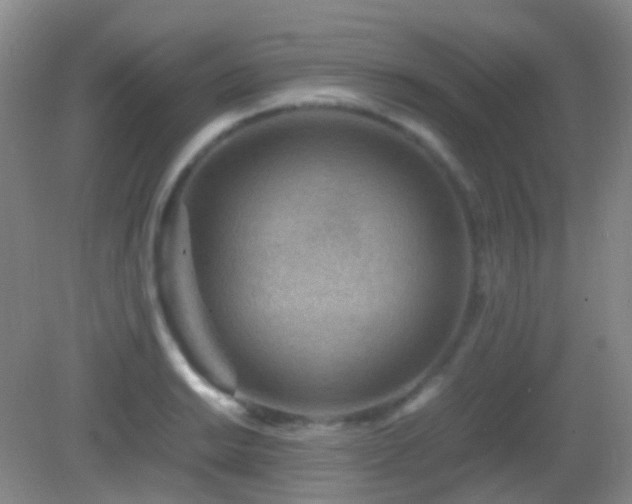 X0000082991038200702011424