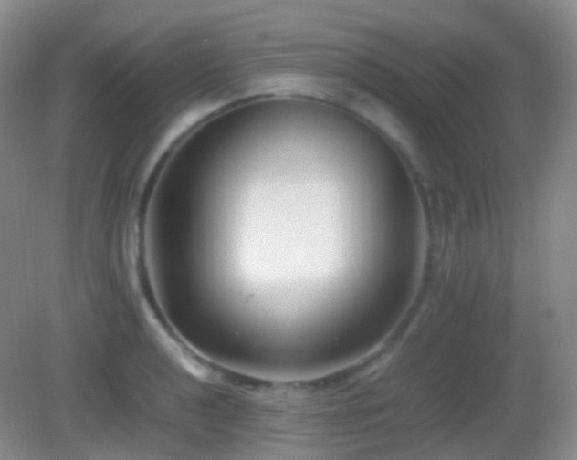 X0000082991040200702011424