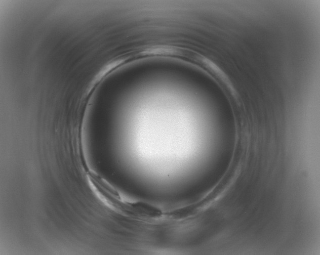 X0000082991041200702011424