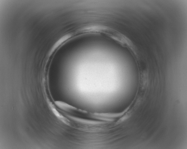 X0000082991042200702011424