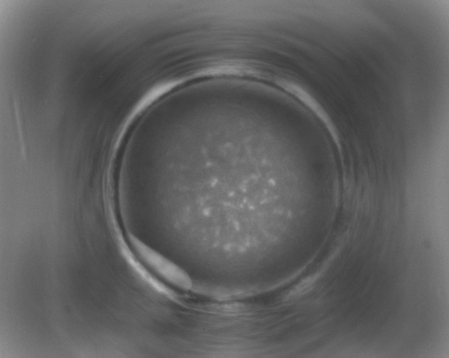 X0000082991045200702011424