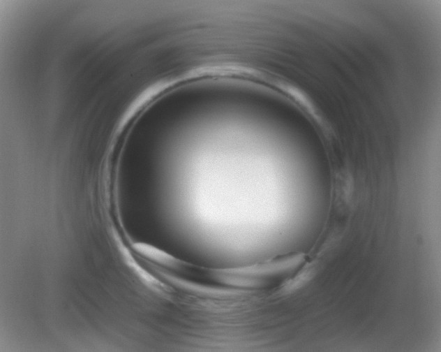 X0000082991046200702011424