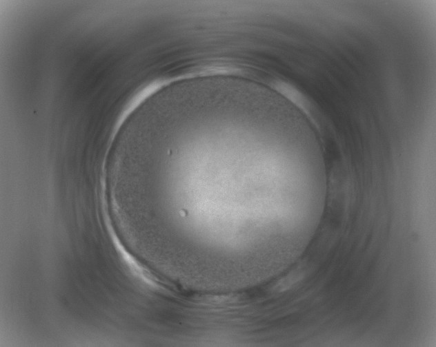 X0000082991047200702011424