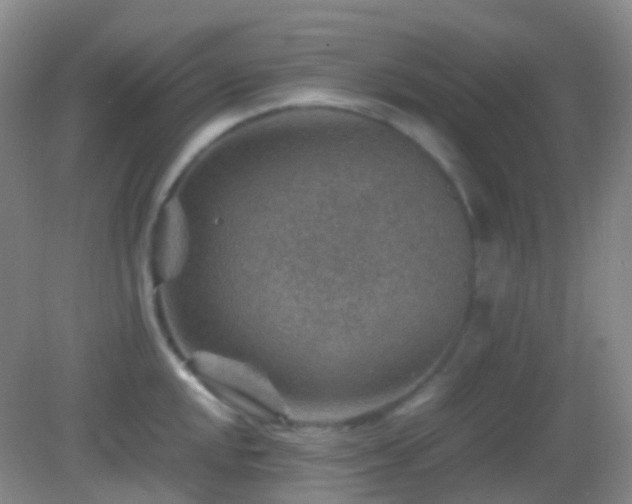 X0000082991048200702011424