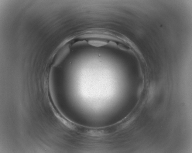 X0000082991049200702011424