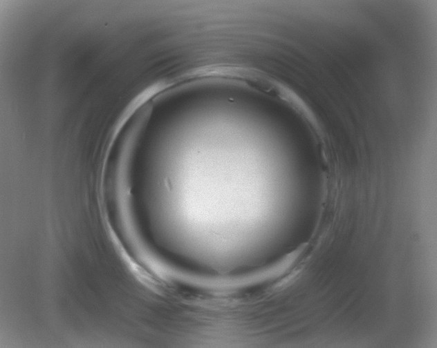 X0000082991050200702011424