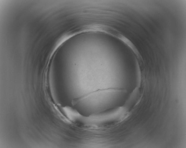 X0000082991052200702011424