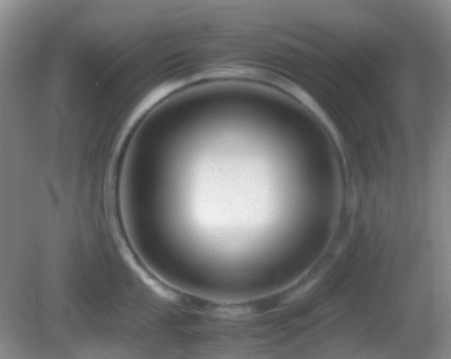 X0000082991053200702011424