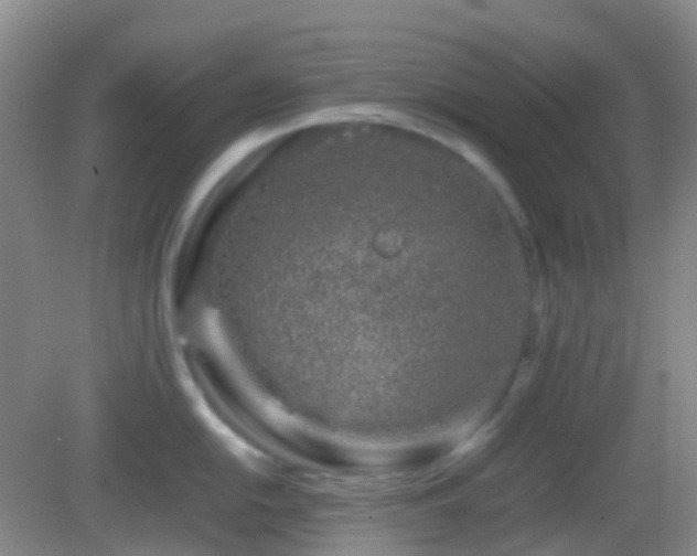 X0000082991054200702011424