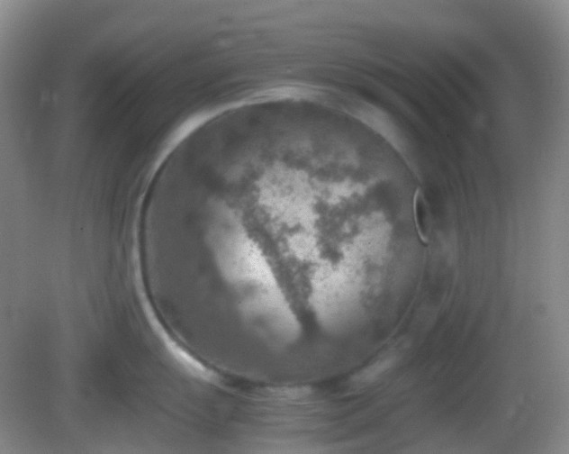 X0000082991055200702011424