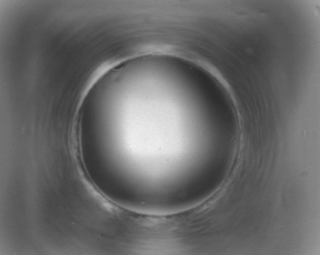 X0000082991056200702011424