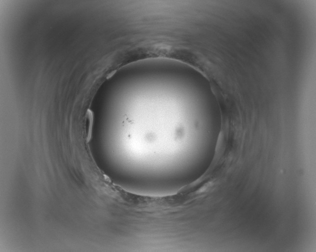 X0000082991057200702011423