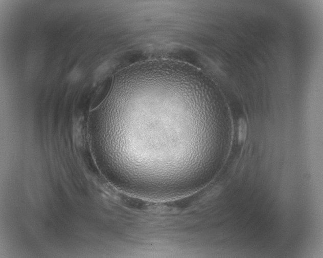 X0000082991059200702011423