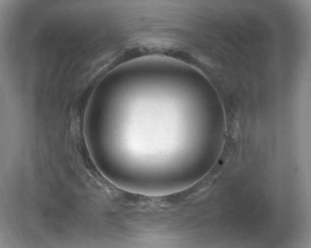 X0000082991061200702011423