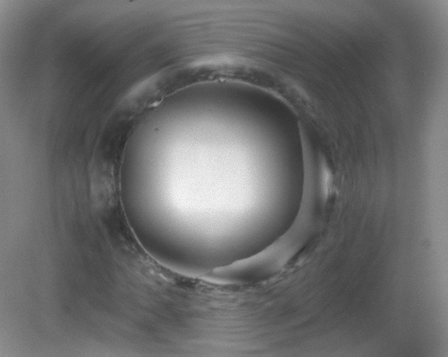 X0000082991062200702011423