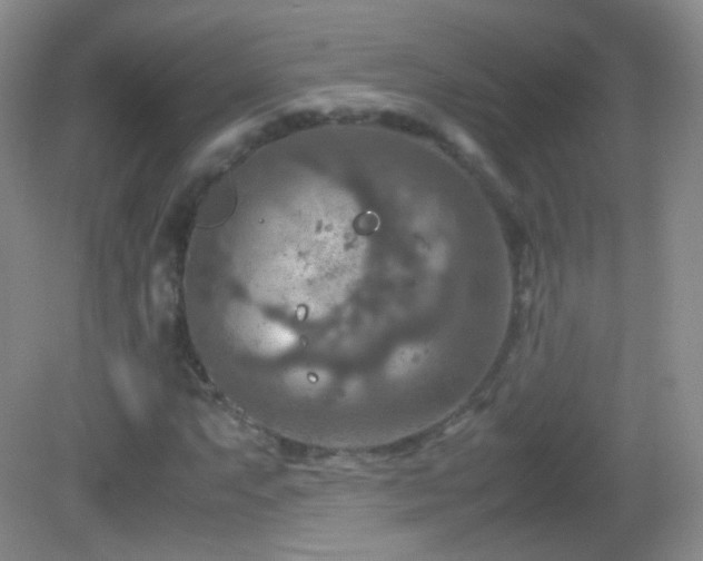 X0000082991063200702011423