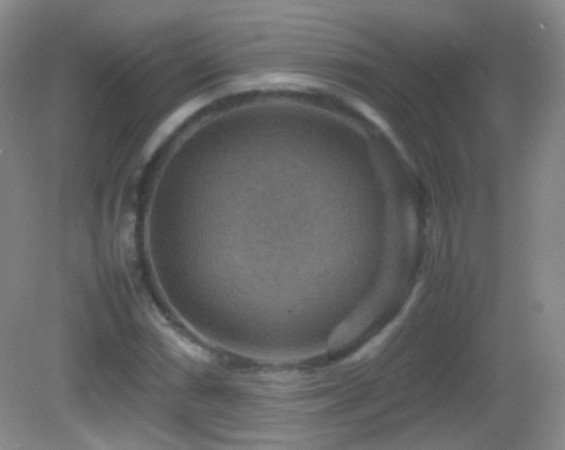 X0000082991066200702011423