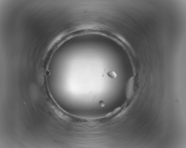 X0000082991067200702011423