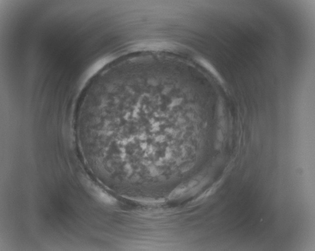 X0000082991071200702011423