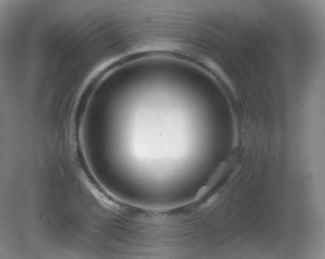 X0000082991072200702011423