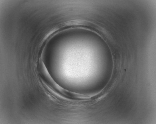 X0000082991073200702011423