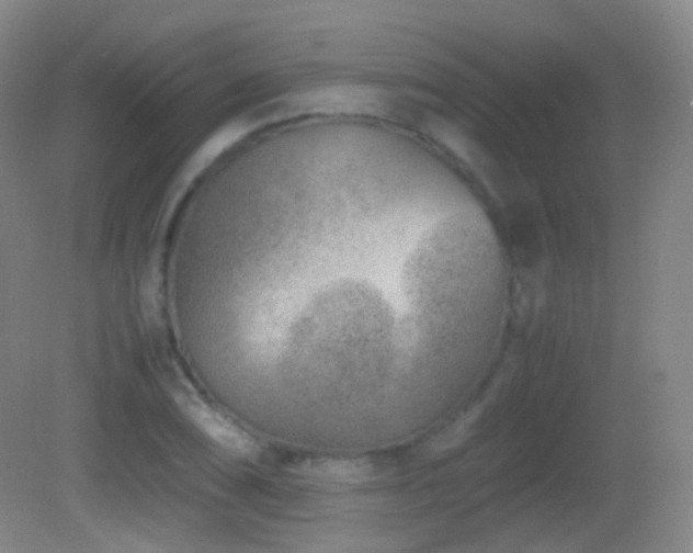 X0000082991074200702011423