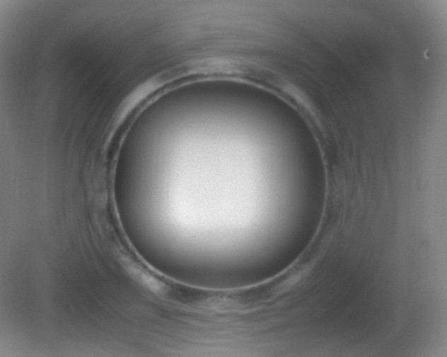 X0000082991075200702011423