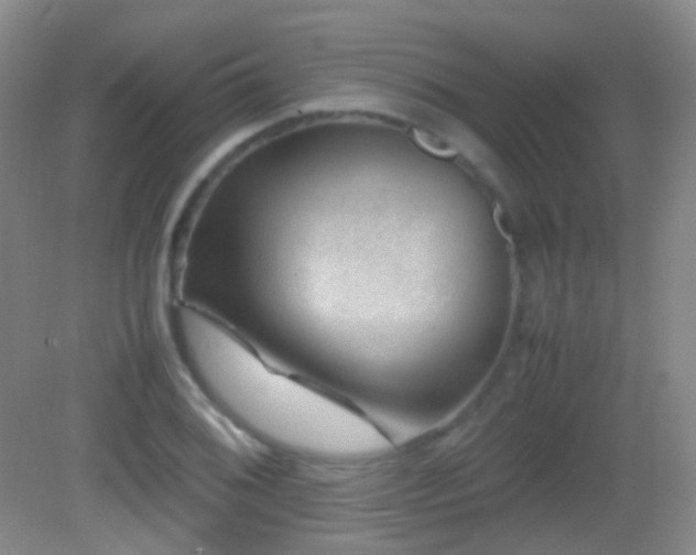 X0000082991076200702011423