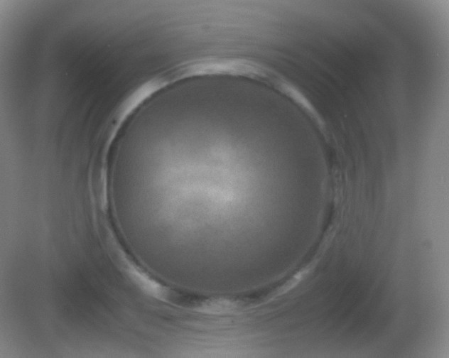 X0000082991079200702011423