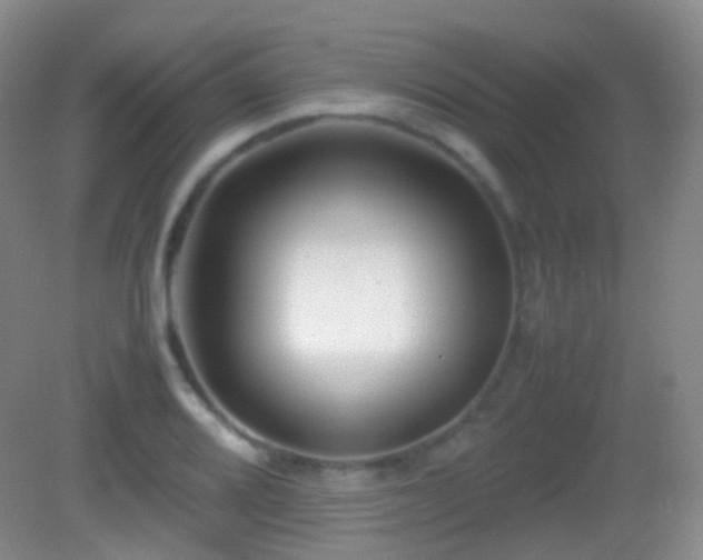 X0000082991080200702011423