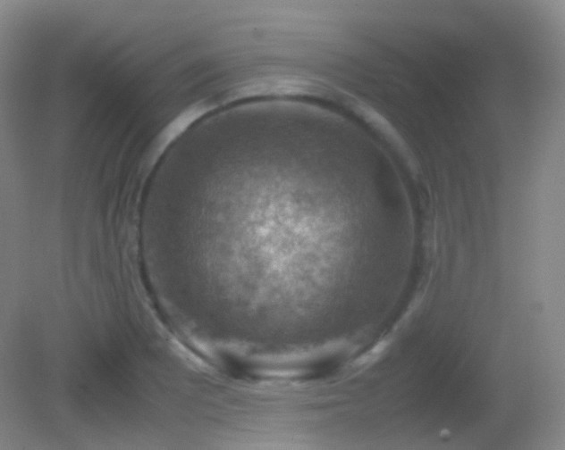 X0000082991081200702011423