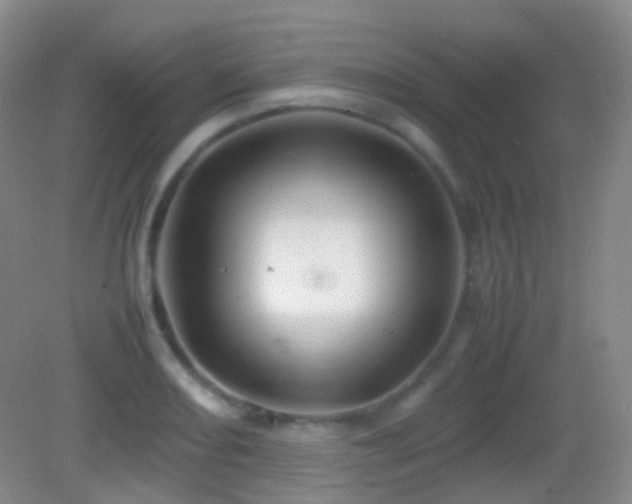 X0000082991082200702011423