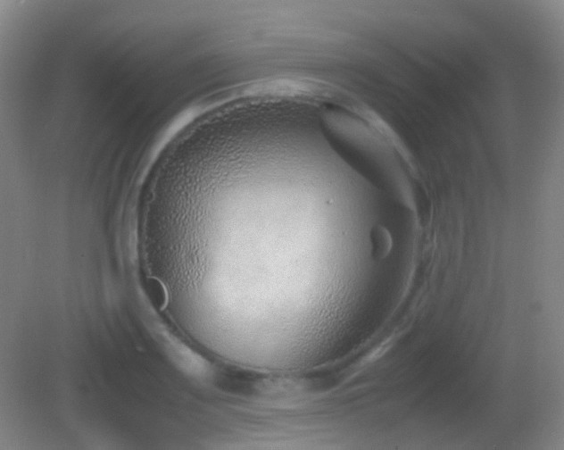 X0000082991083200702011423